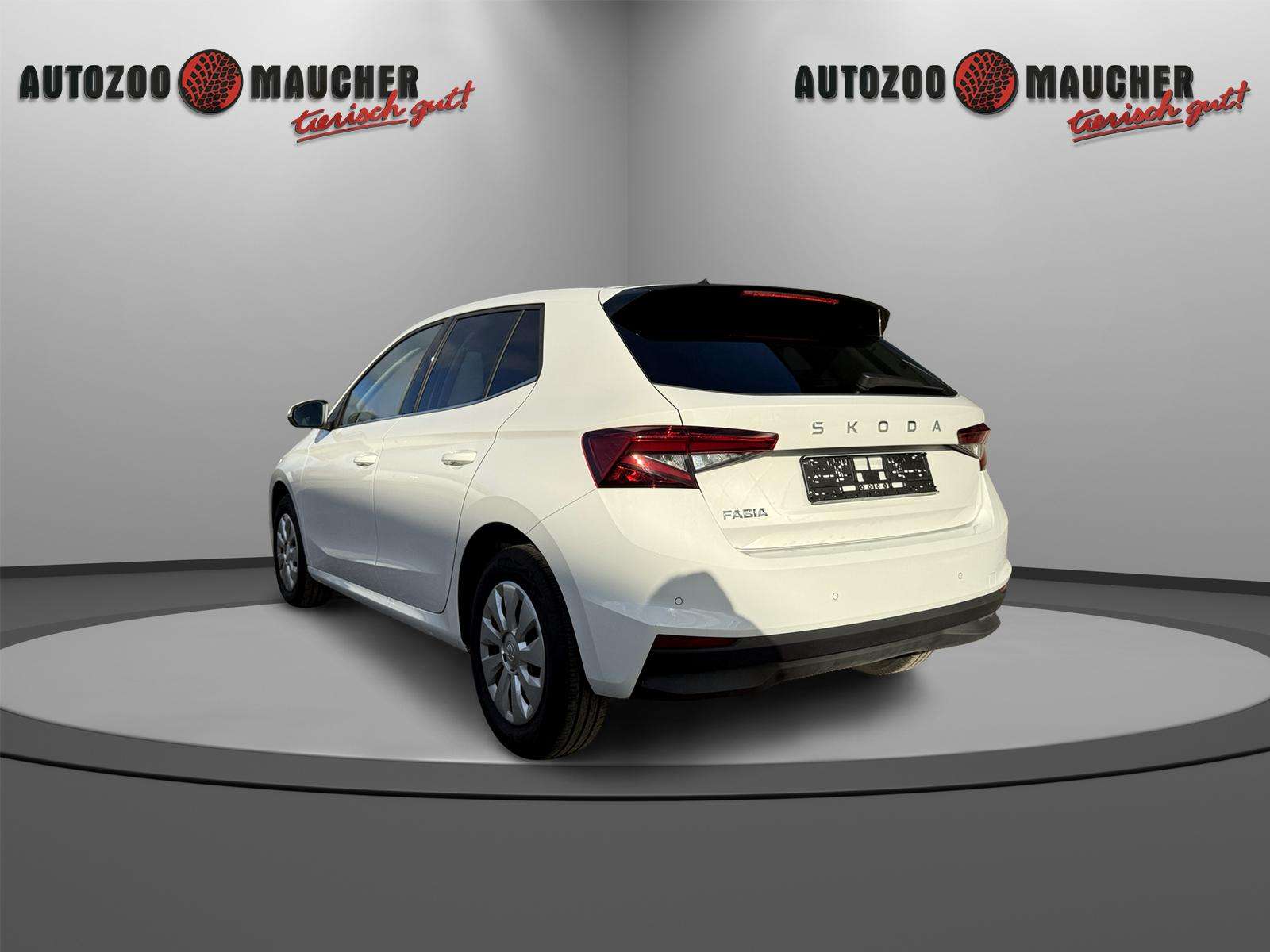 Fahrzeugbild eines Skoda Fabia