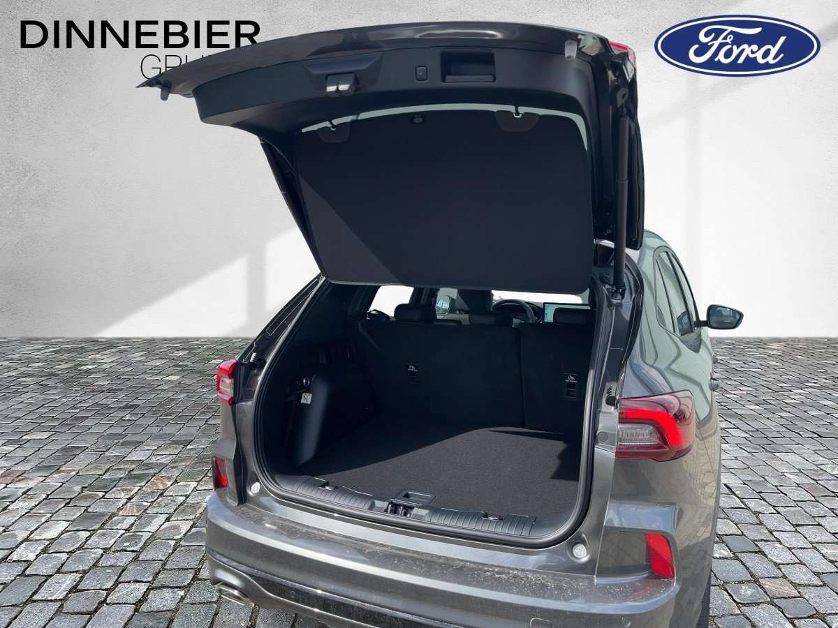 Fahrzeugbild eines Ford Kuga