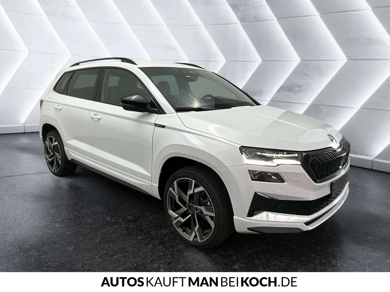 Fahrzeugbild eines Skoda Karoq