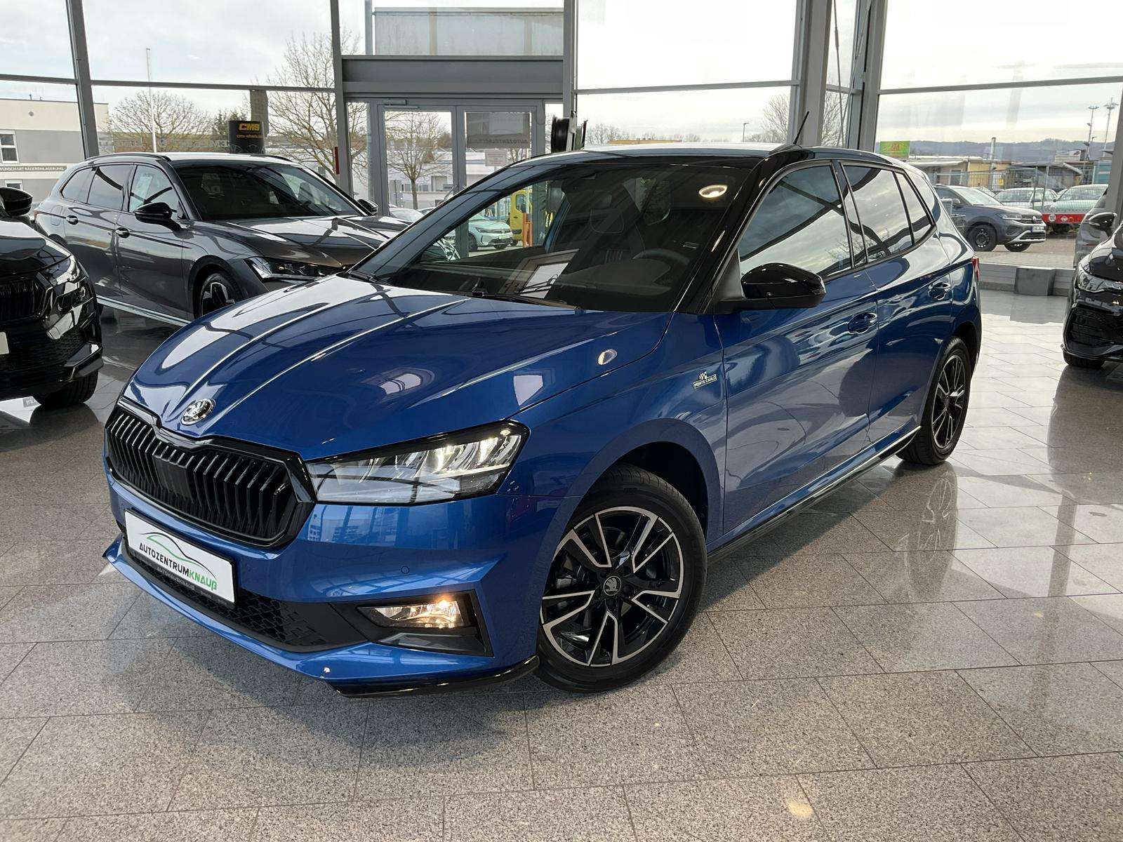 Fahrzeugbild eines Skoda Fabia