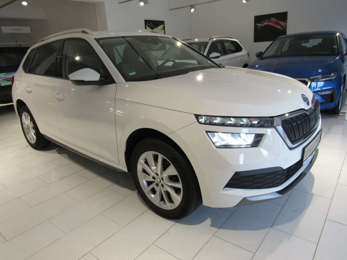 Fahrzeugbild eines Skoda Kamiq
