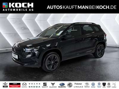 Bild Skoda Karoq