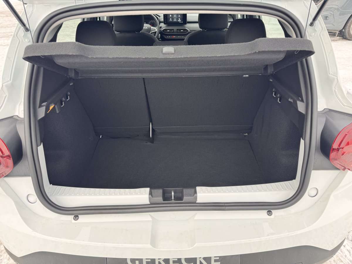 Fahrzeugbild eines Dacia Sandero