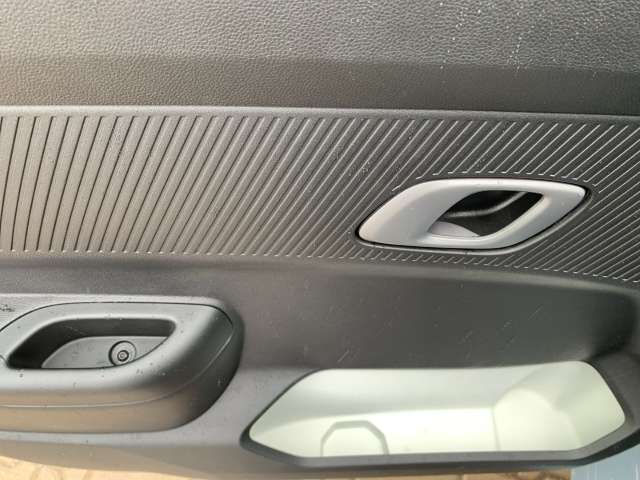 Fahrzeugbild eines Dacia Spring