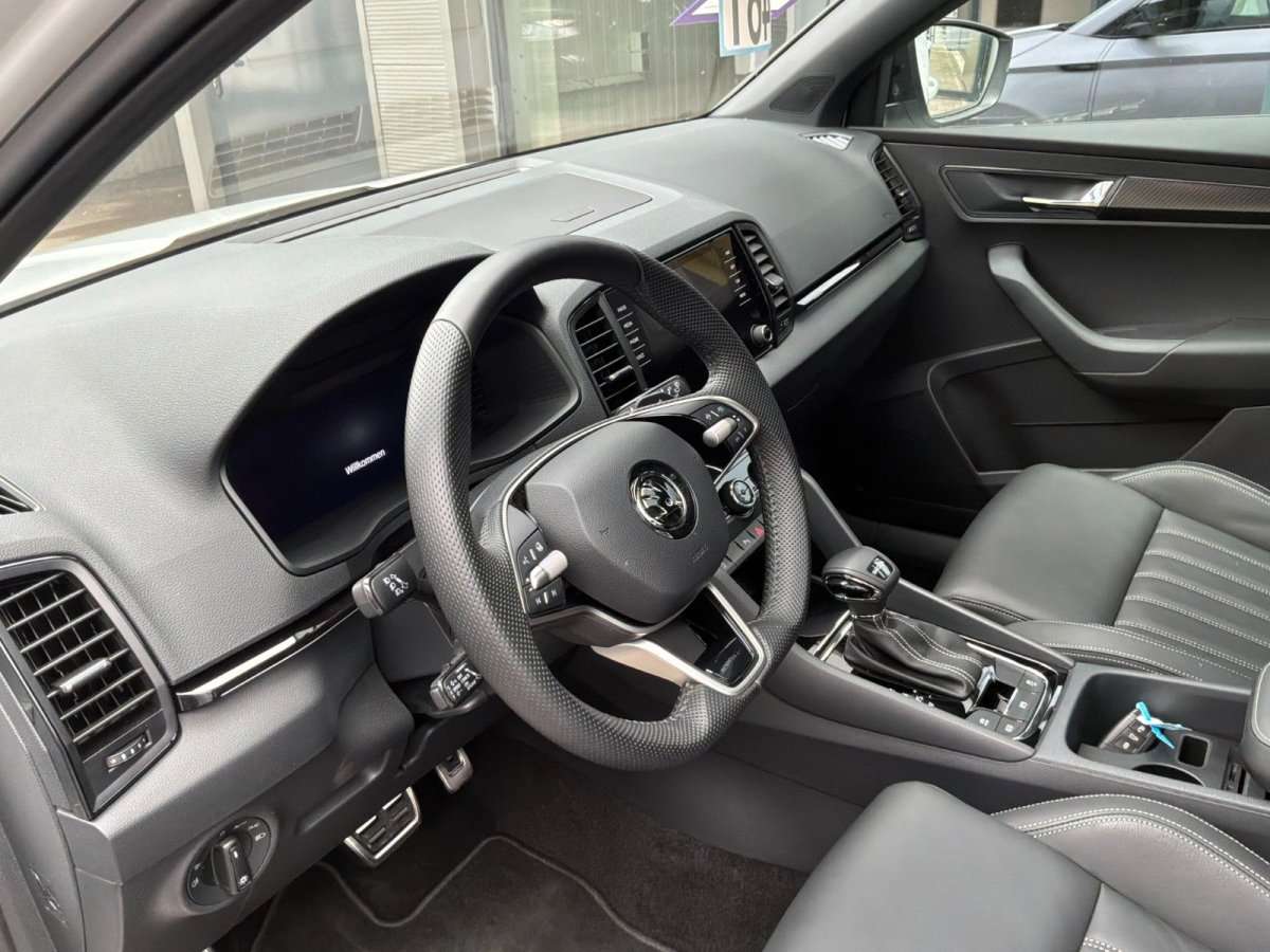 Fahrzeugbild eines Skoda Karoq