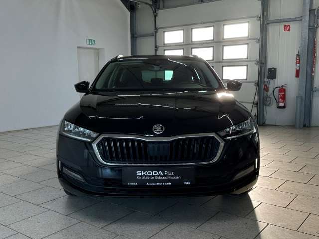 Fahrzeugbild eines Skoda Octavia