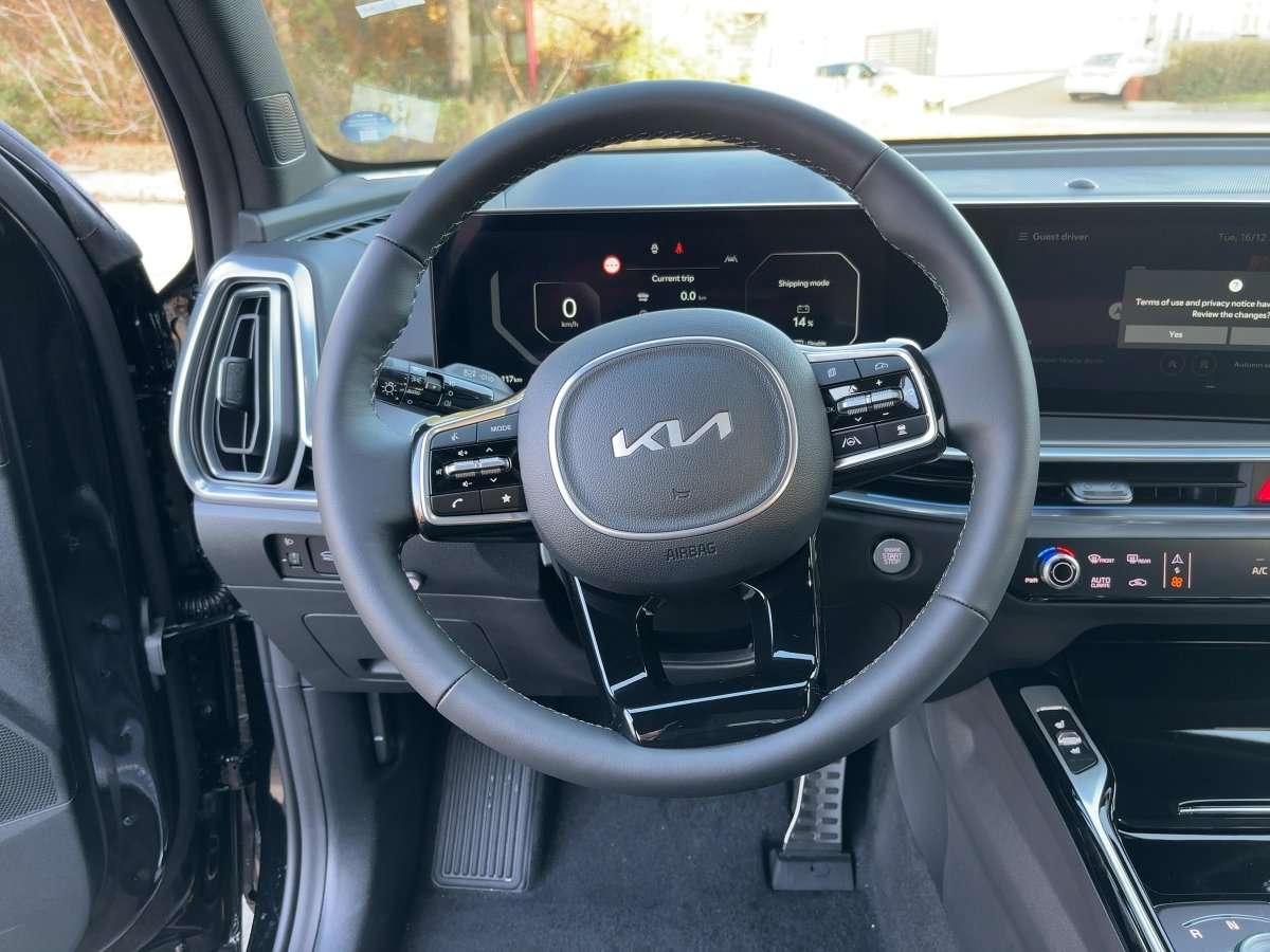 Fahrzeugbild eines Kia Sorento