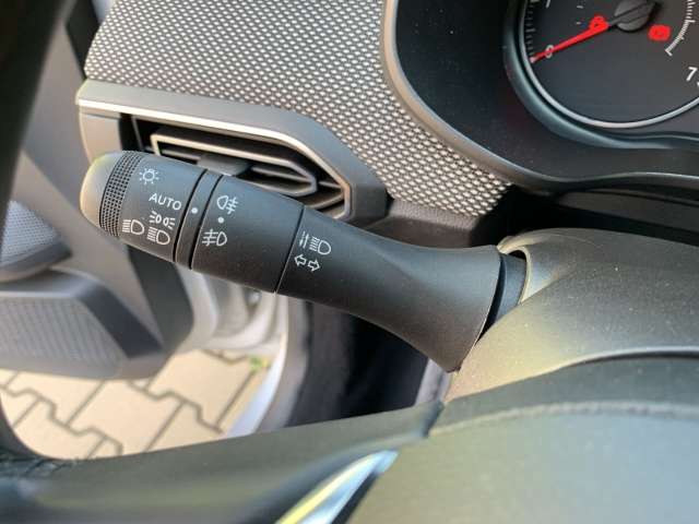 Fahrzeugbild eines Dacia Sandero