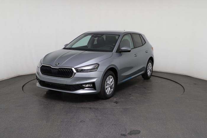 Fahrzeugbild eines Skoda Fabia