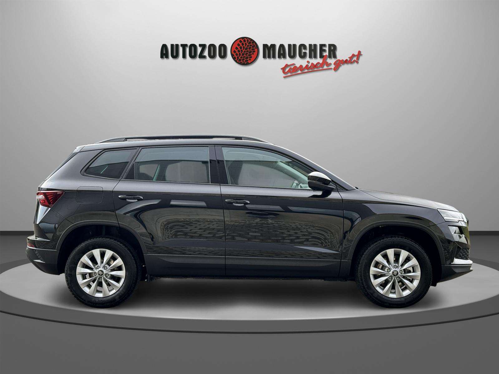 Fahrzeugbild eines Skoda Karoq