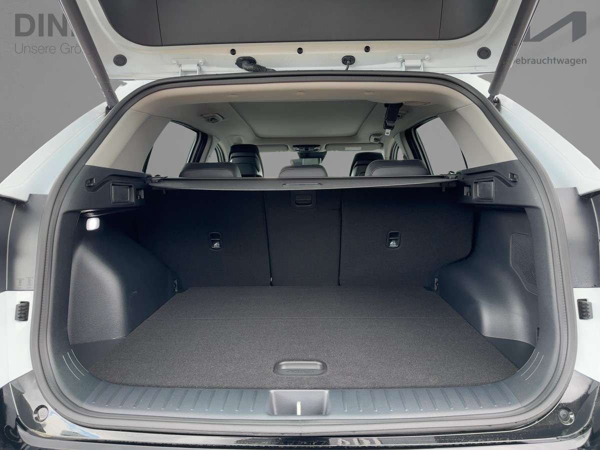 Fahrzeugbild eines Kia Sportage