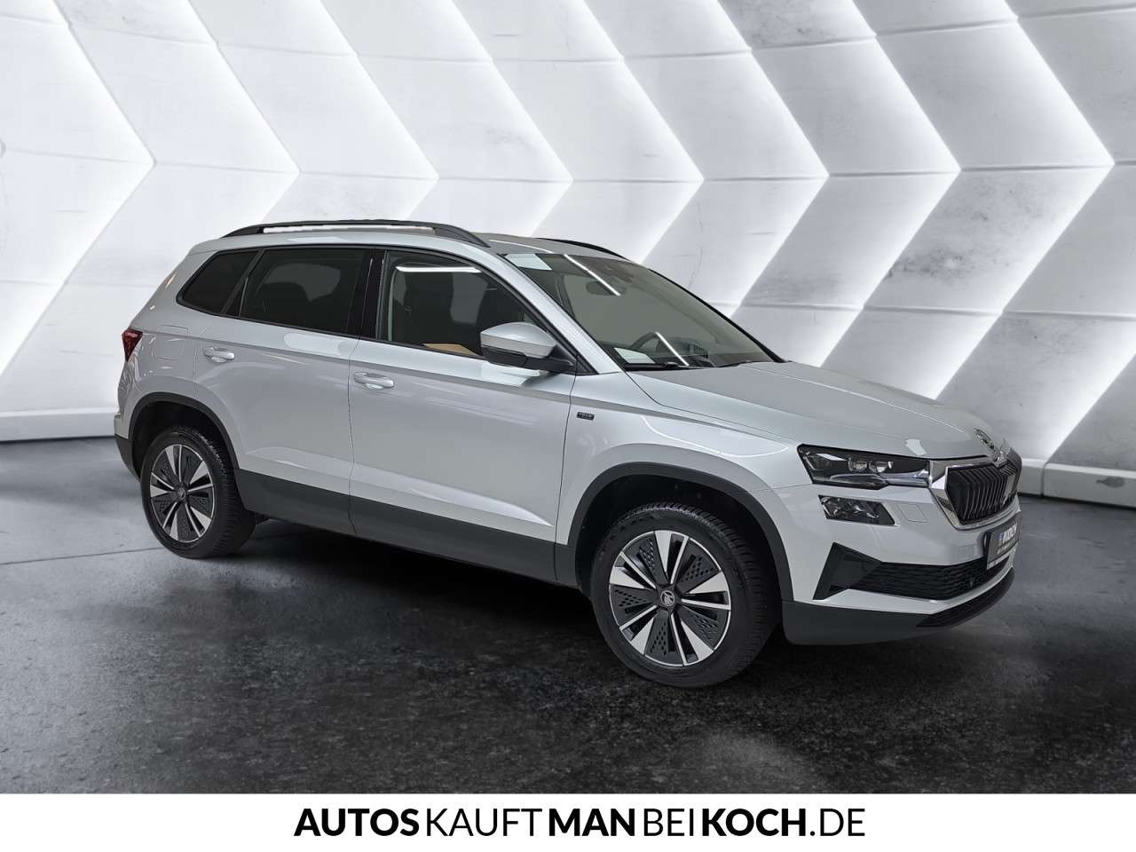 Fahrzeugbild eines Skoda Karoq