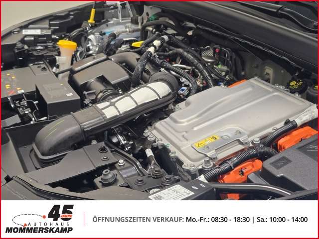 Fahrzeugbild eines Mitsubishi Grandis