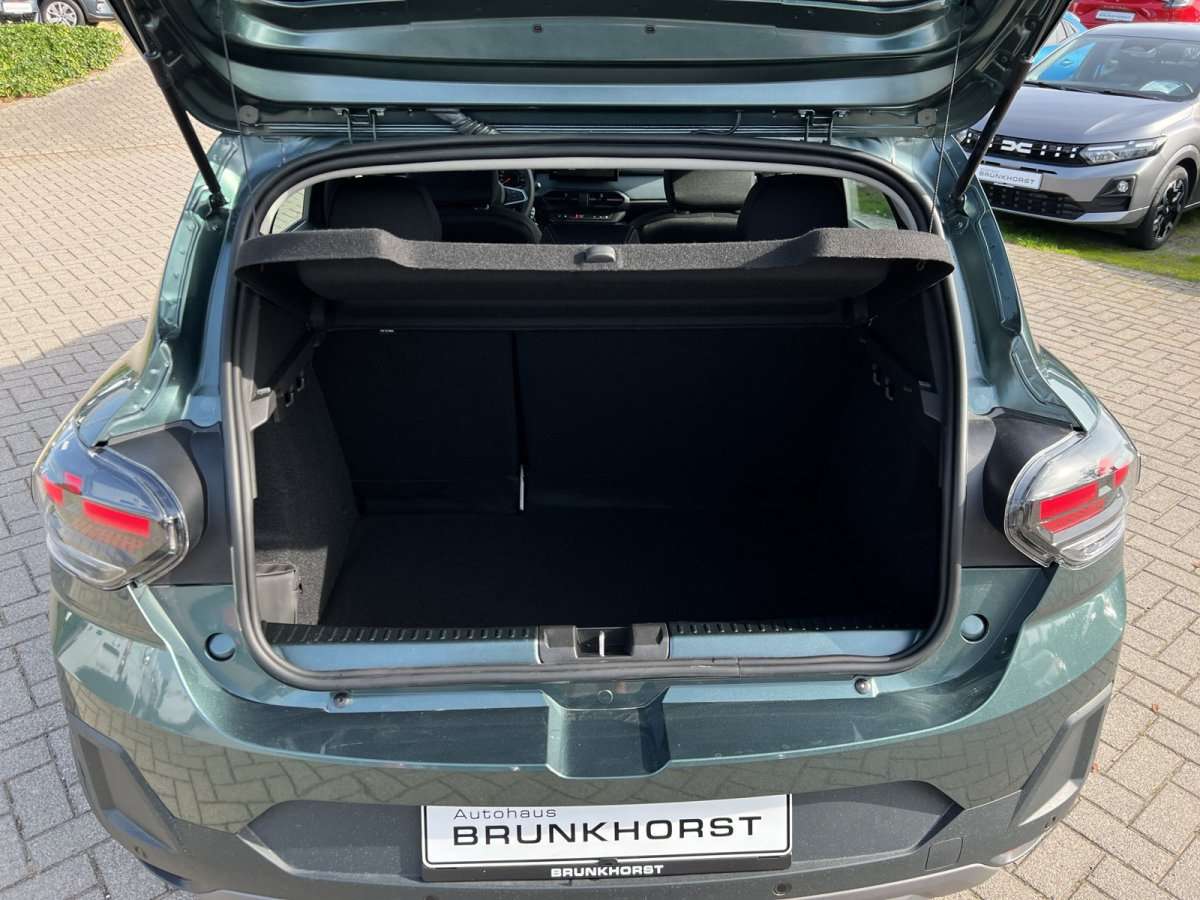 Fahrzeugbild eines Dacia Sandero