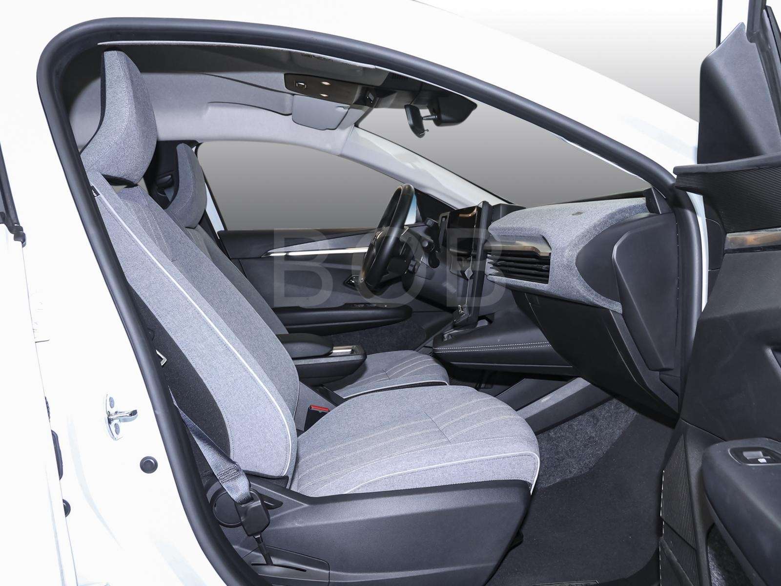 Fahrzeugbild eines Renault Megane E-TECH