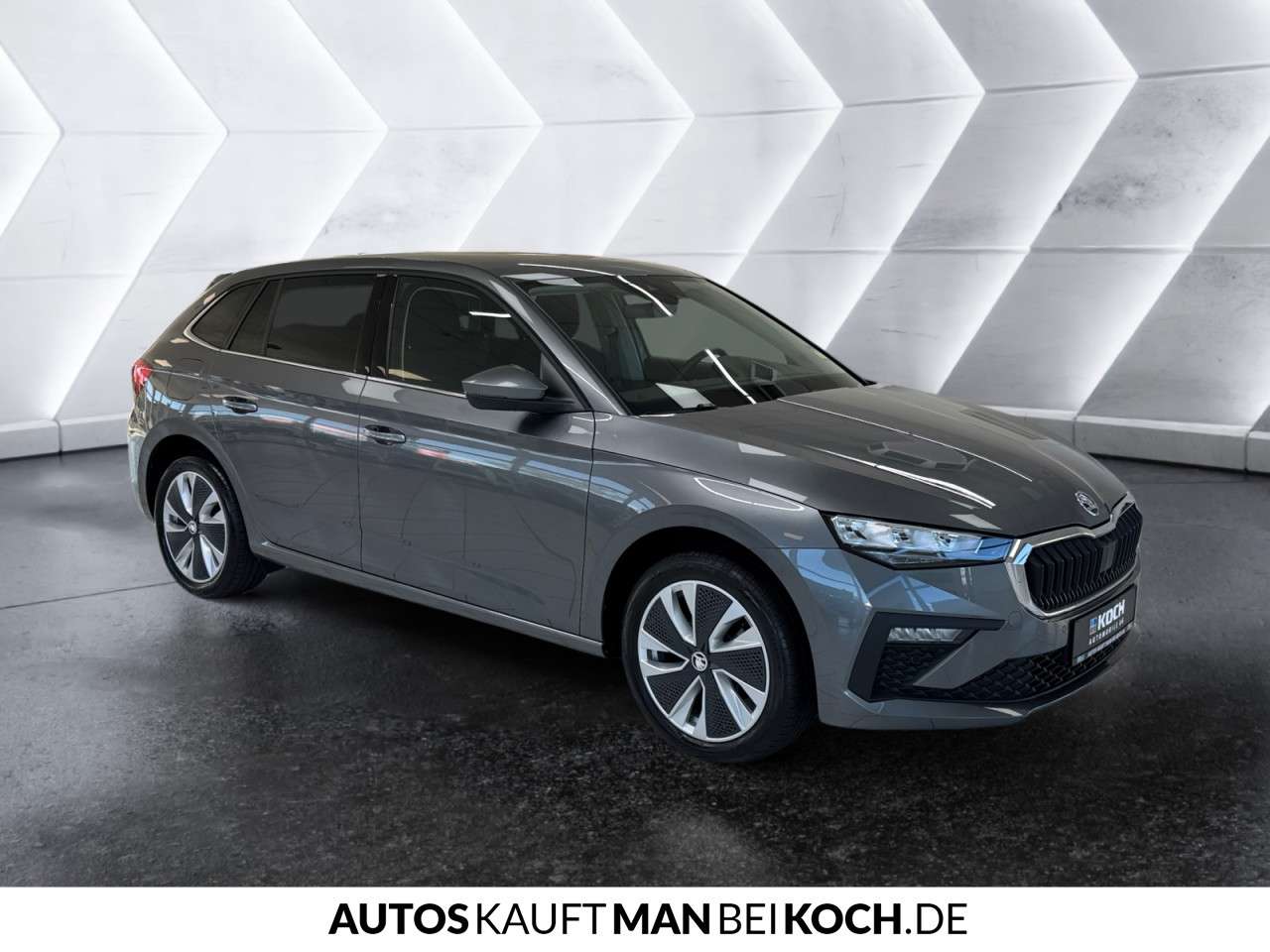 Fahrzeugbild eines Skoda Scala