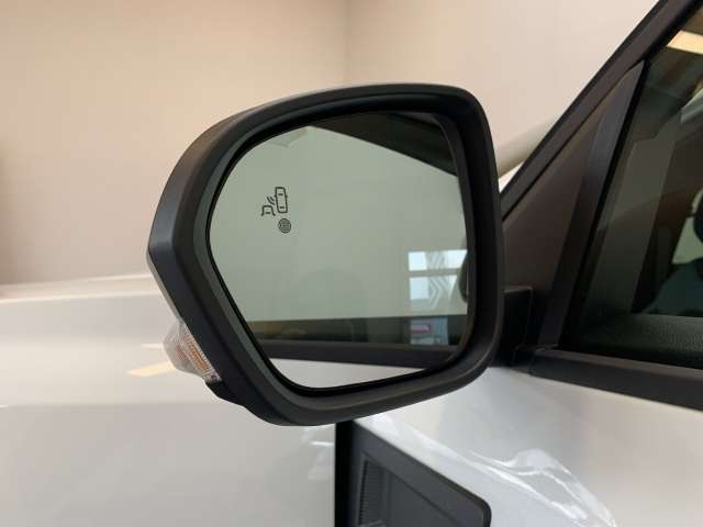 Fahrzeugbild eines Dacia Duster