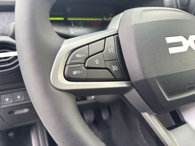 Fahrzeugbild eines Dacia Sandero