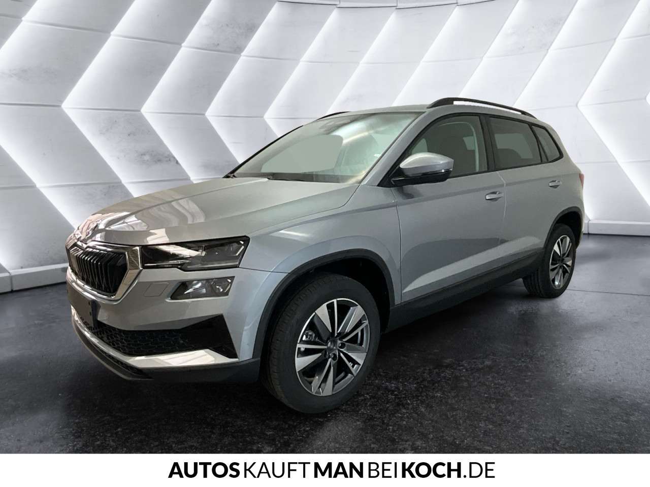 Fahrzeugbild eines Skoda Karoq