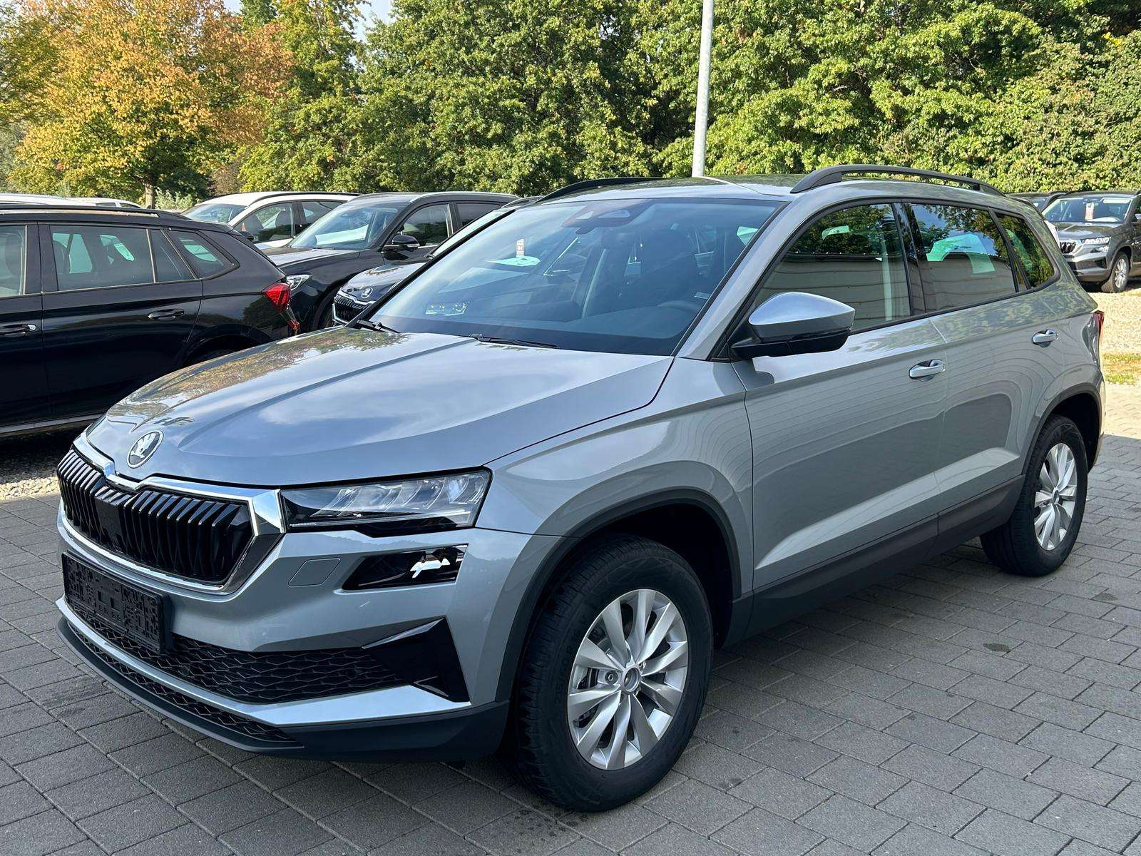 Fahrzeugbild eines Skoda Karoq