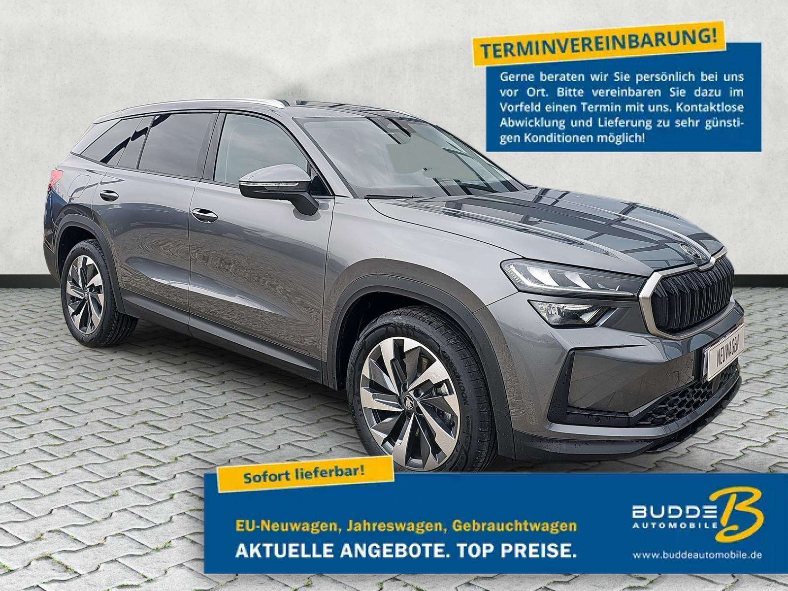Fahrzeugbild eines Skoda Kodiaq