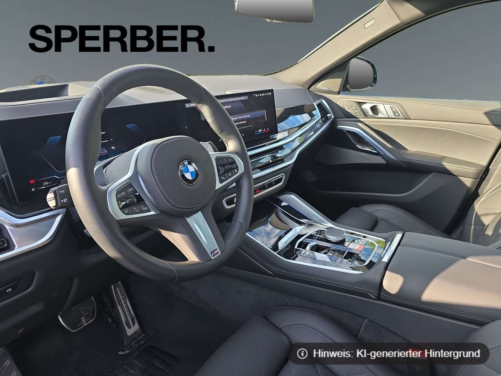 Fahrzeugbild eines BMW X6