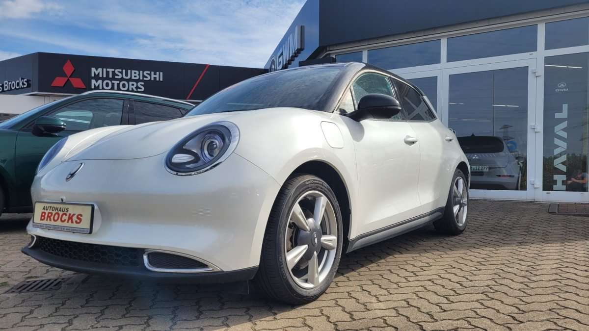 Fahrzeugbild eines GWM Ora 03