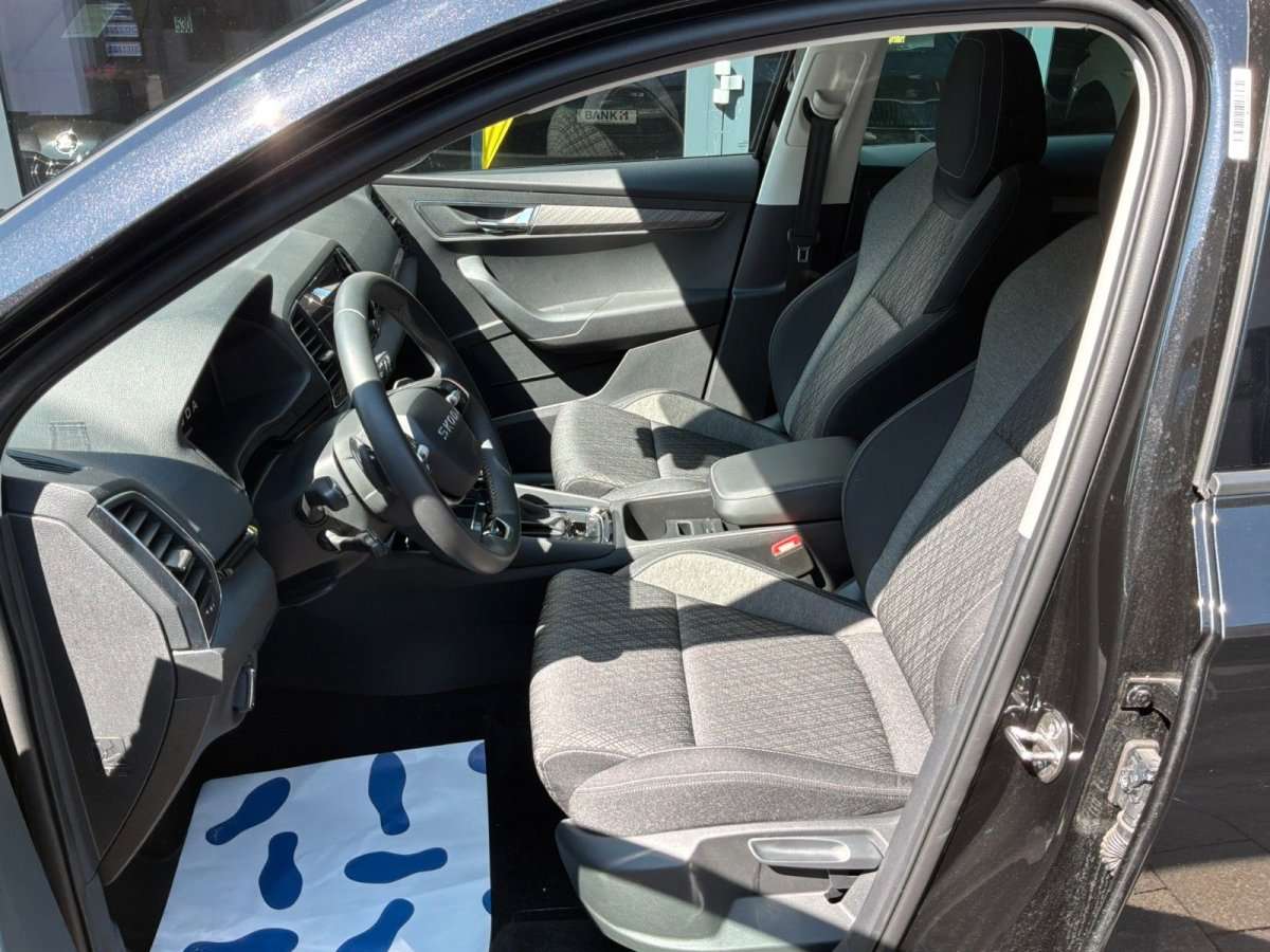 Fahrzeugbild eines Skoda Karoq