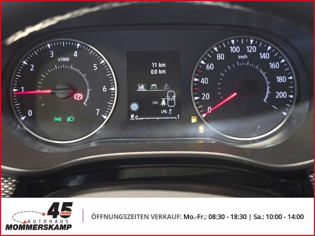 Fahrzeugbild eines Dacia Sandero