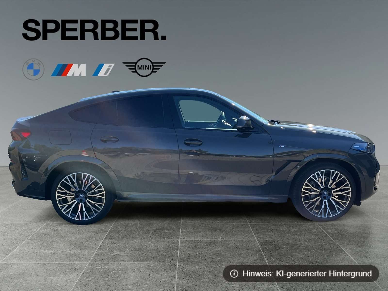 Fahrzeugbild eines BMW X6