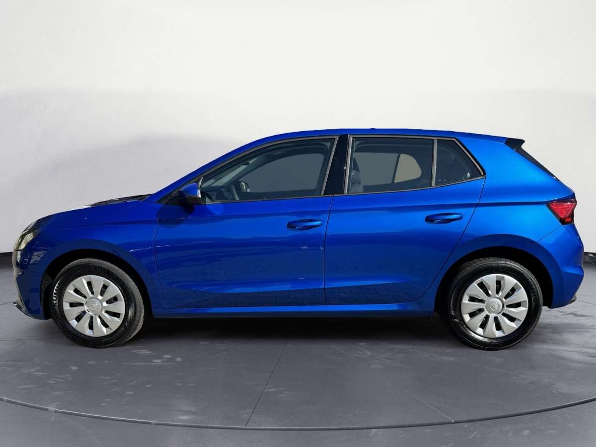 Fahrzeugbild eines Skoda Fabia