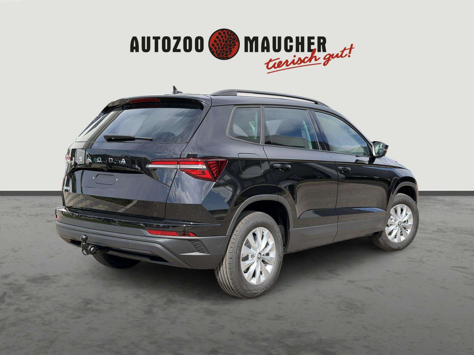 Fahrzeugbild eines Skoda Karoq