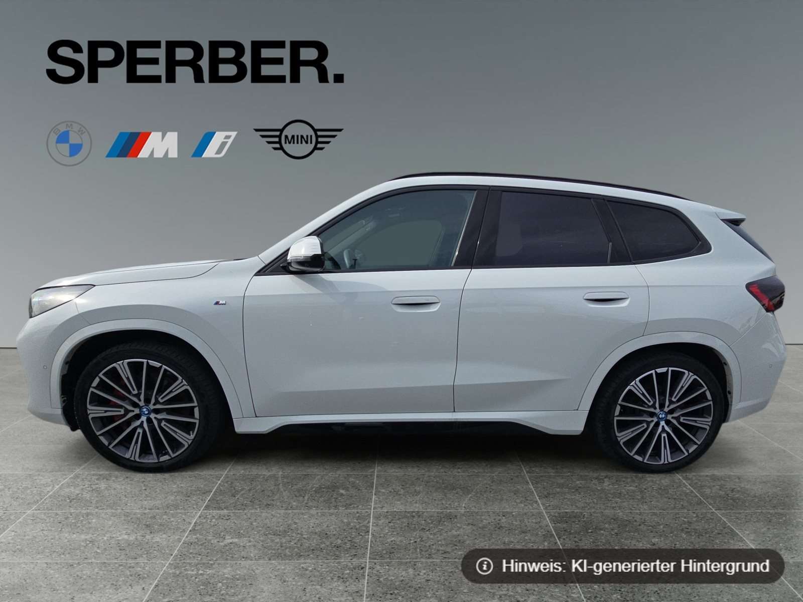 Fahrzeugbild eines BMW iX1