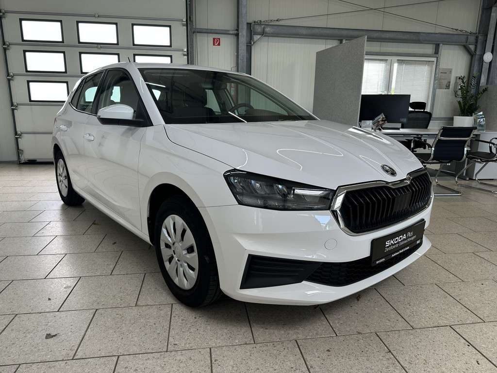 Fahrzeugbild eines Skoda Fabia