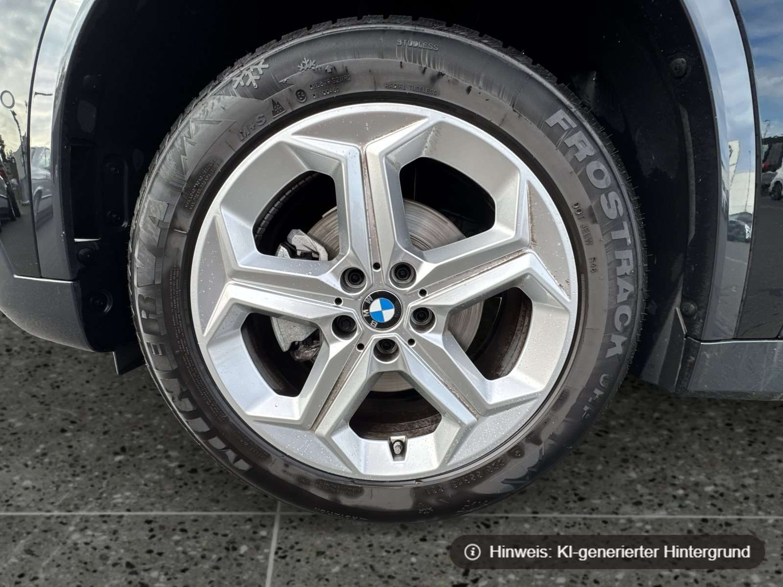 Fahrzeugbild eines BMW X1