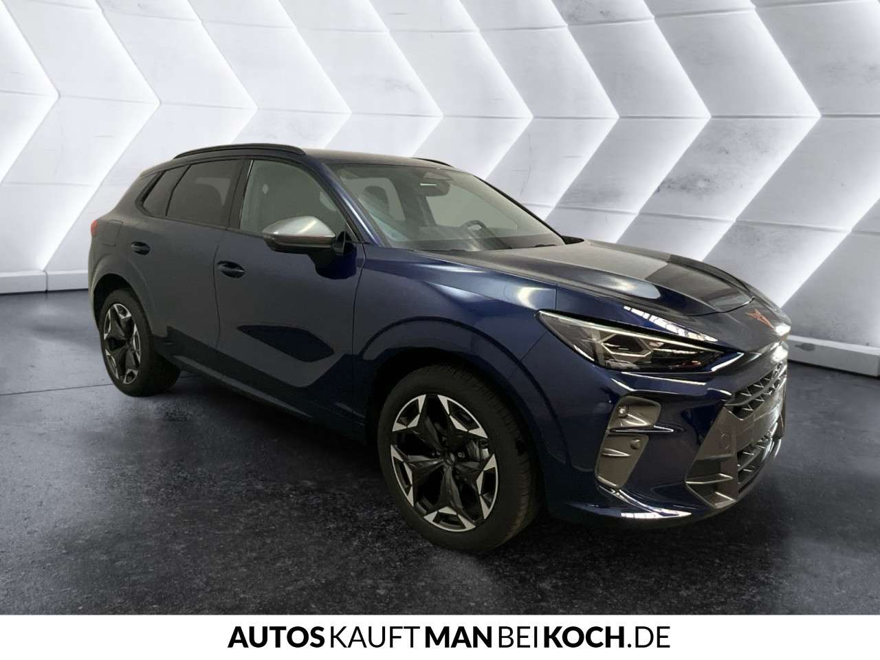 Fahrzeugbild eines CUPRA Terramar
