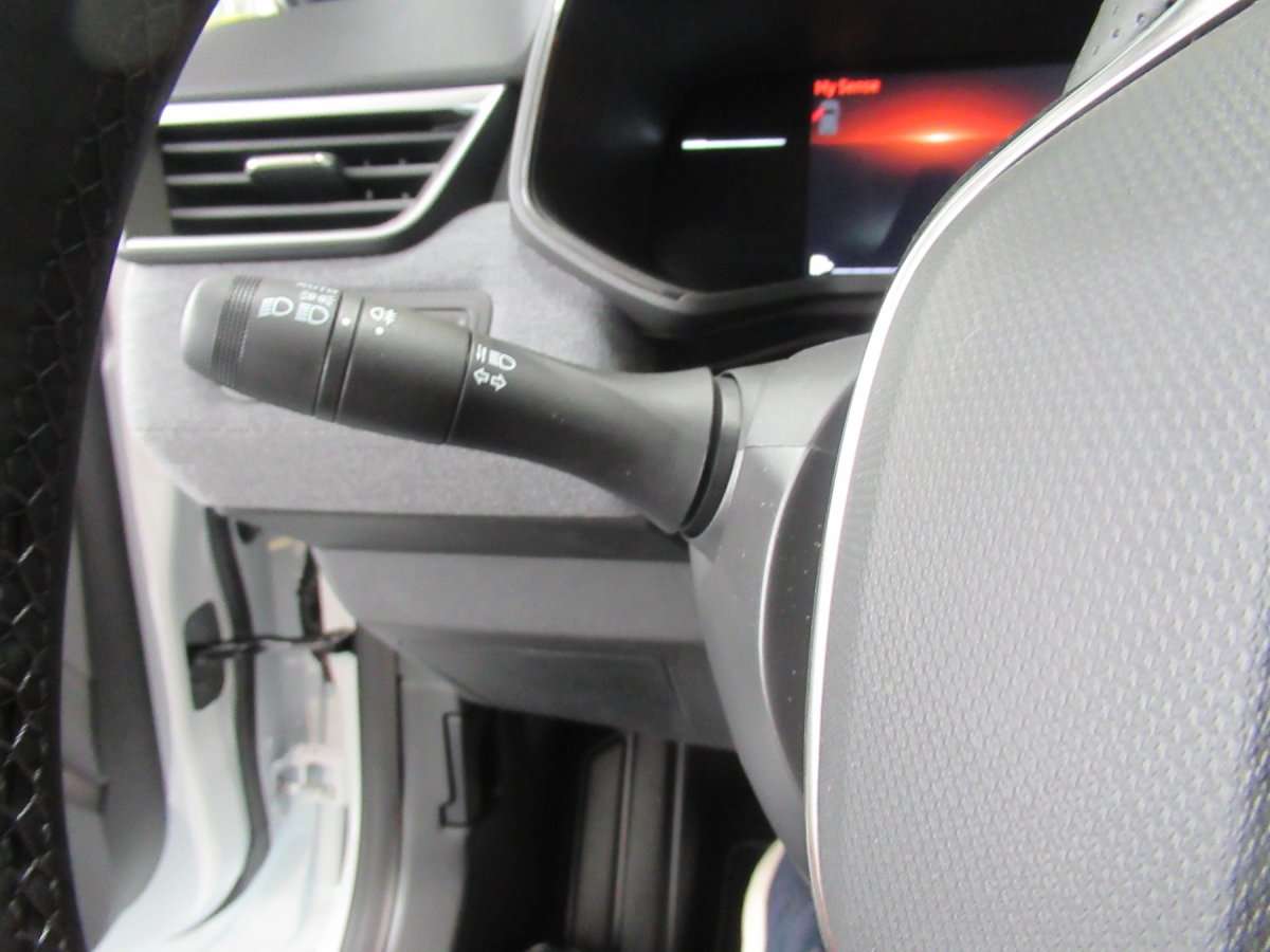 Fahrzeugbild eines Renault Clio