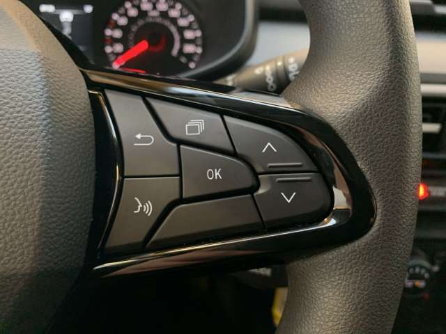 Fahrzeugbild eines Dacia Sandero