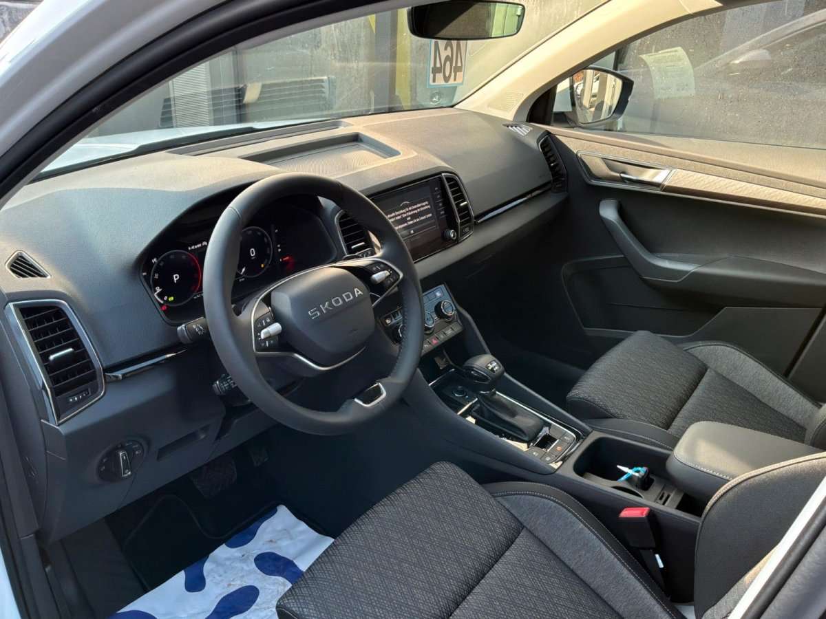 Fahrzeugbild eines Skoda Karoq