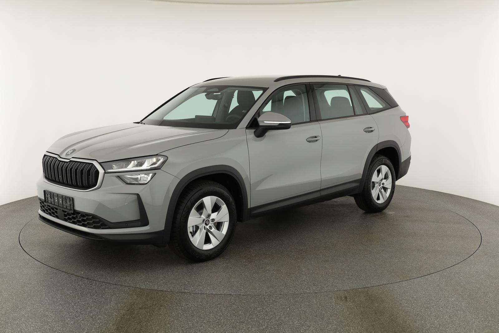 Fahrzeugbild eines Skoda Kodiaq