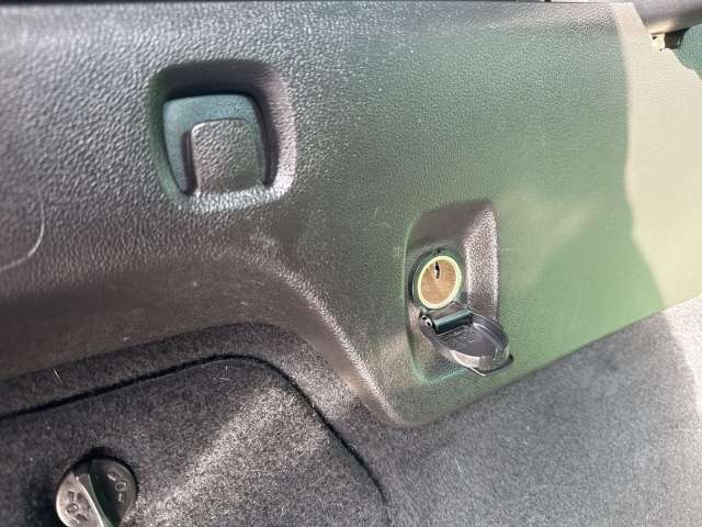 Fahrzeugbild eines Renault Mégane