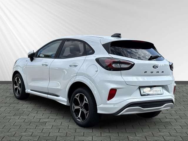 Fahrzeugbild eines Ford Puma