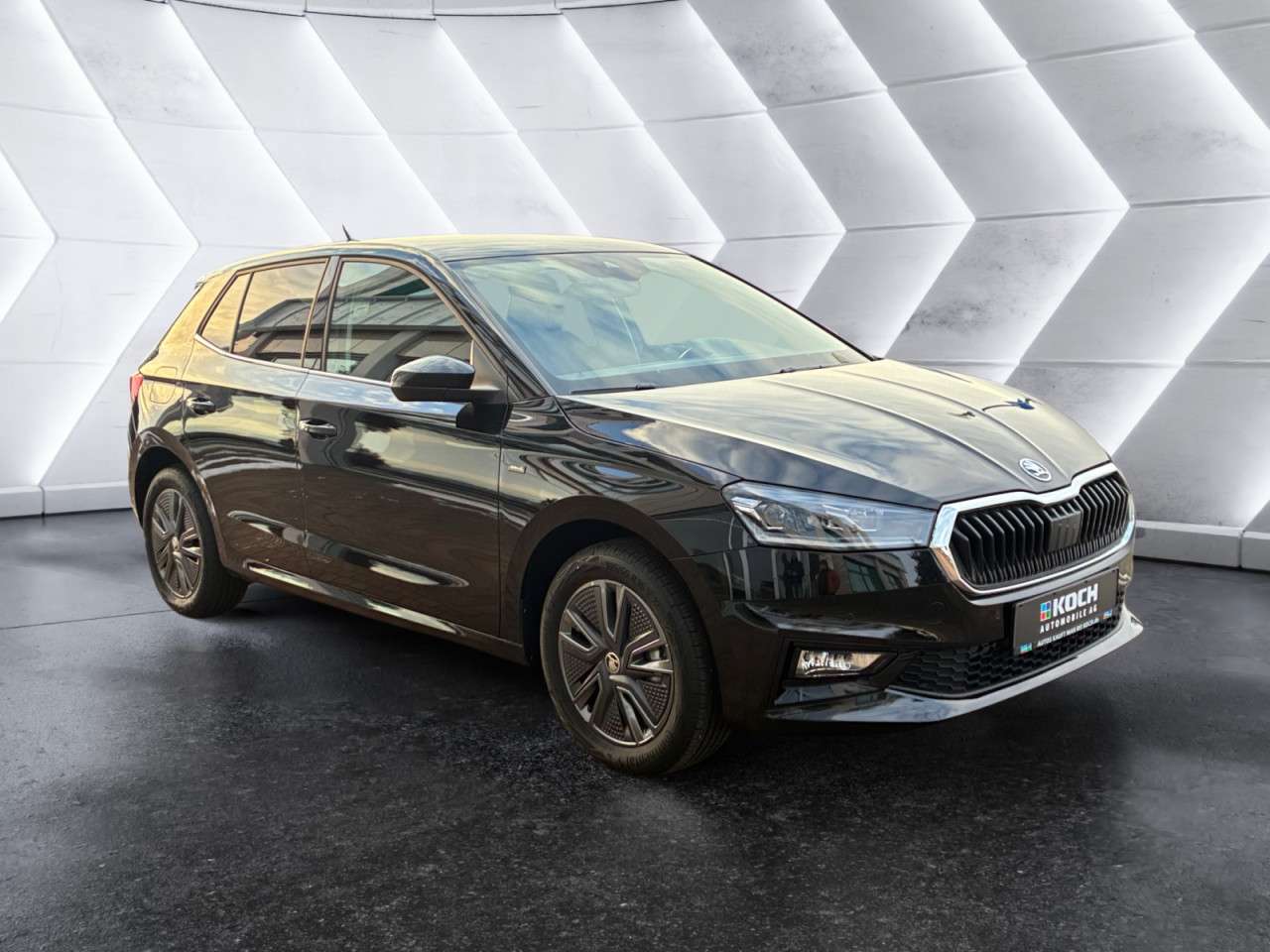 Fahrzeugbild eines Skoda Fabia