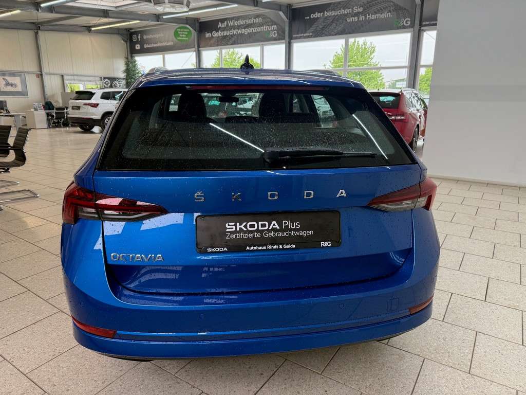 Fahrzeugbild eines Skoda Octavia