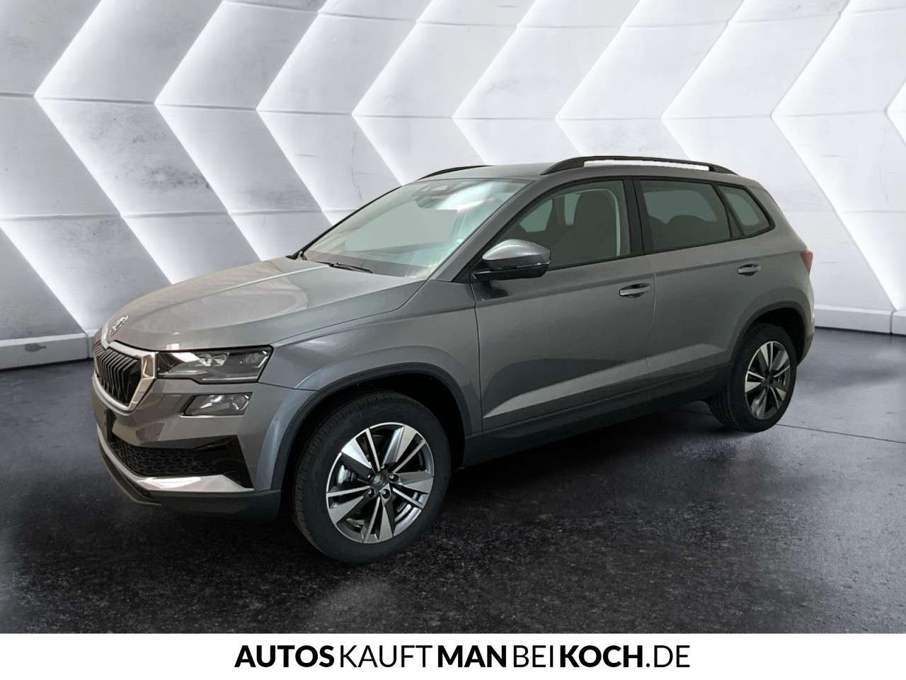 Fahrzeugbild eines Skoda Karoq