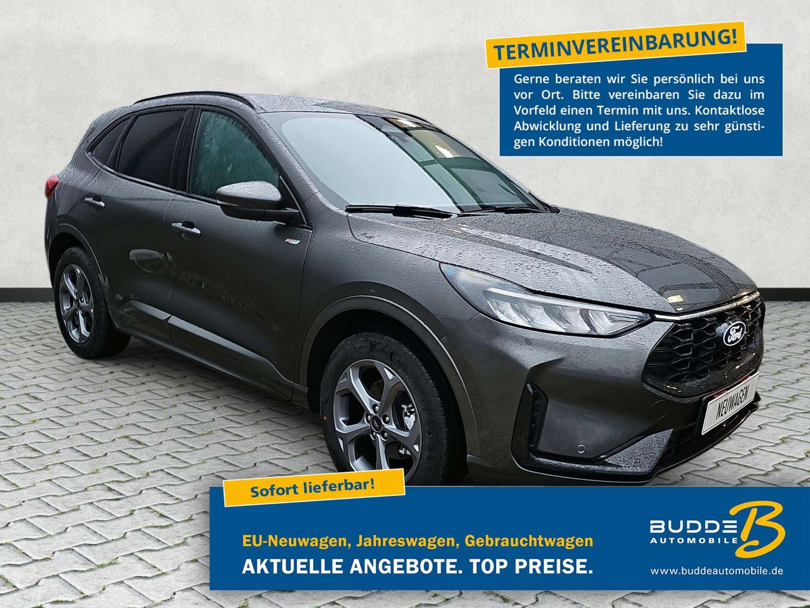 Fahrzeugbild eines Ford Kuga