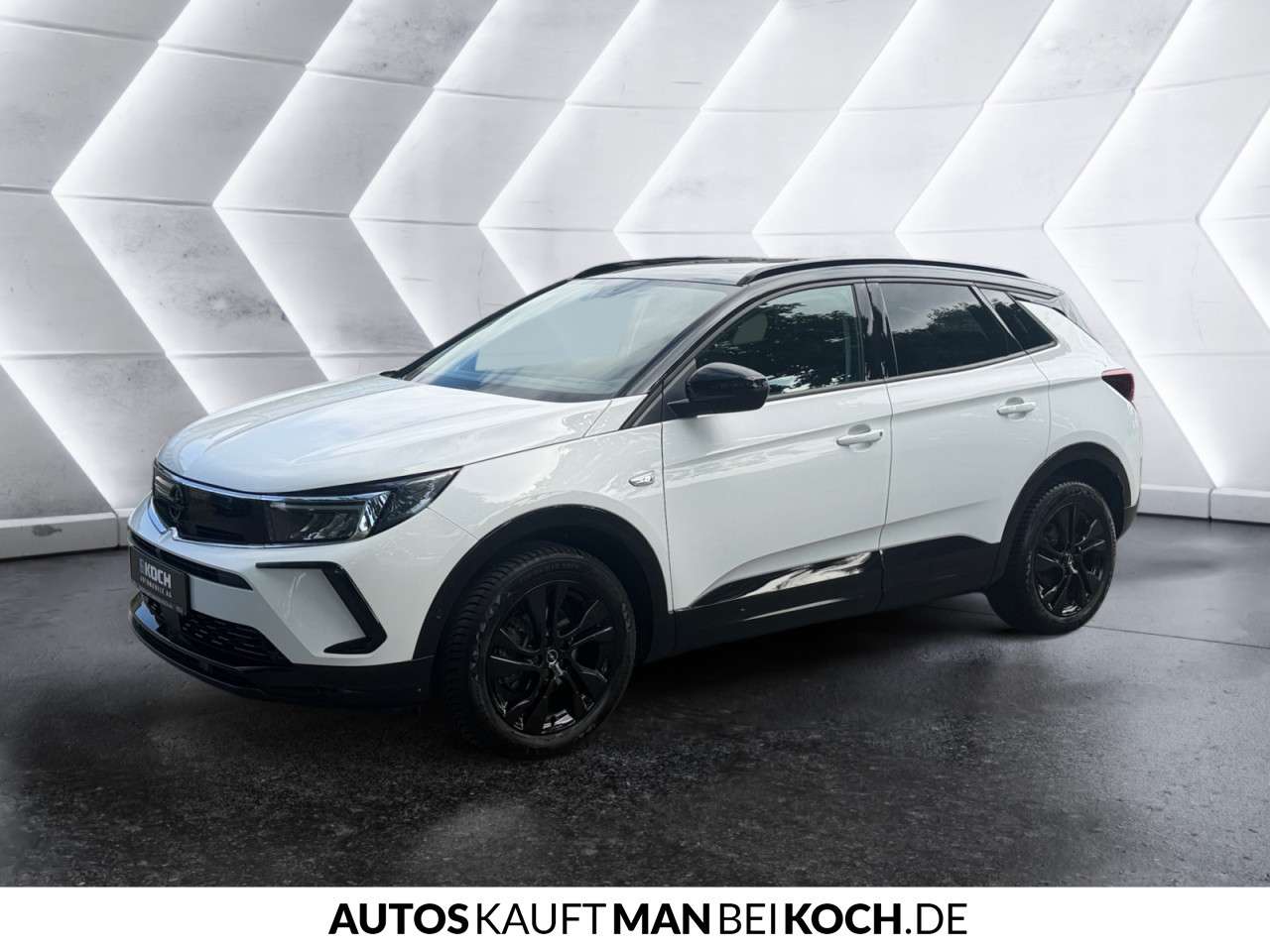 Fahrzeugbild eines Opel Grandland X