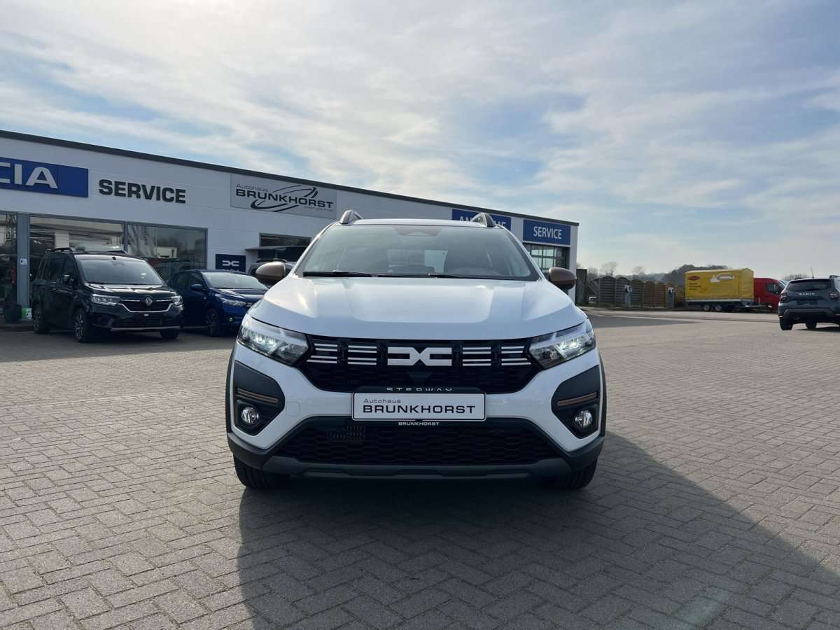 Fahrzeugbild eines Dacia Sandero