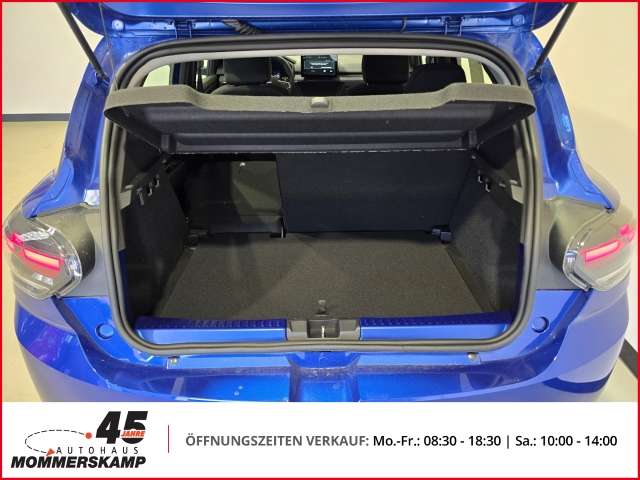 Fahrzeugbild eines Dacia Sandero
