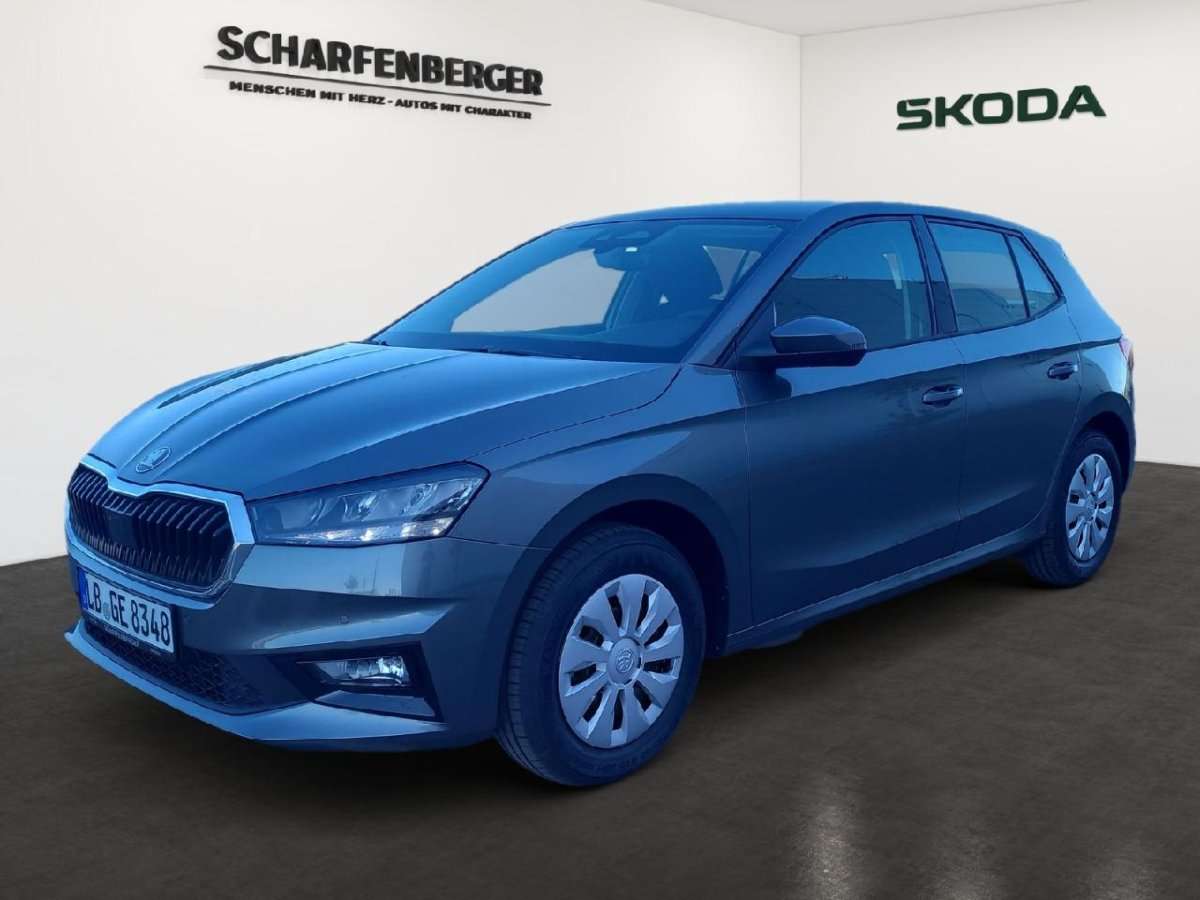 Fahrzeugbild eines Skoda Fabia